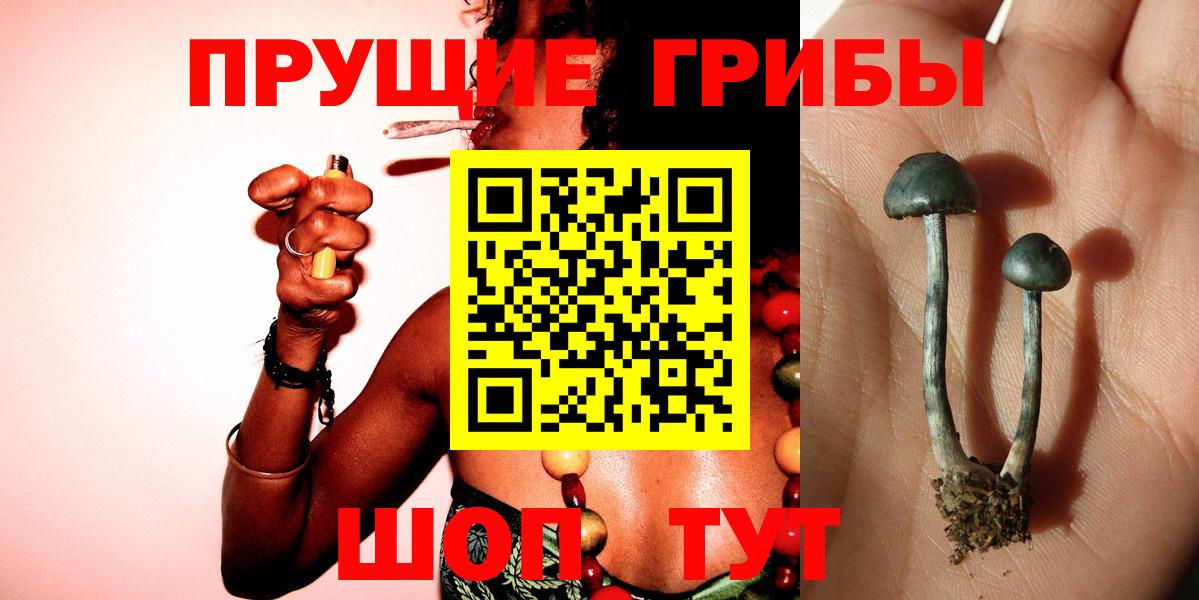Елизово  Галлюциногенные грибы Psilocybe  Вход с VPN  Галлюциногенные грибы Psilocybine cubensis 
